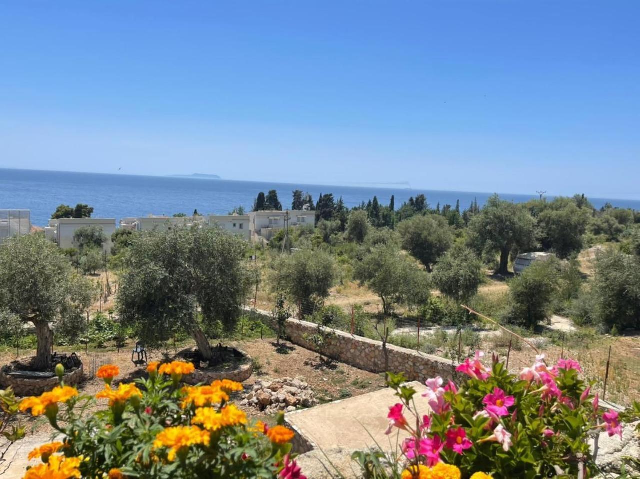 Exclusive Greccia Inn Dhërmi Buitenkant foto