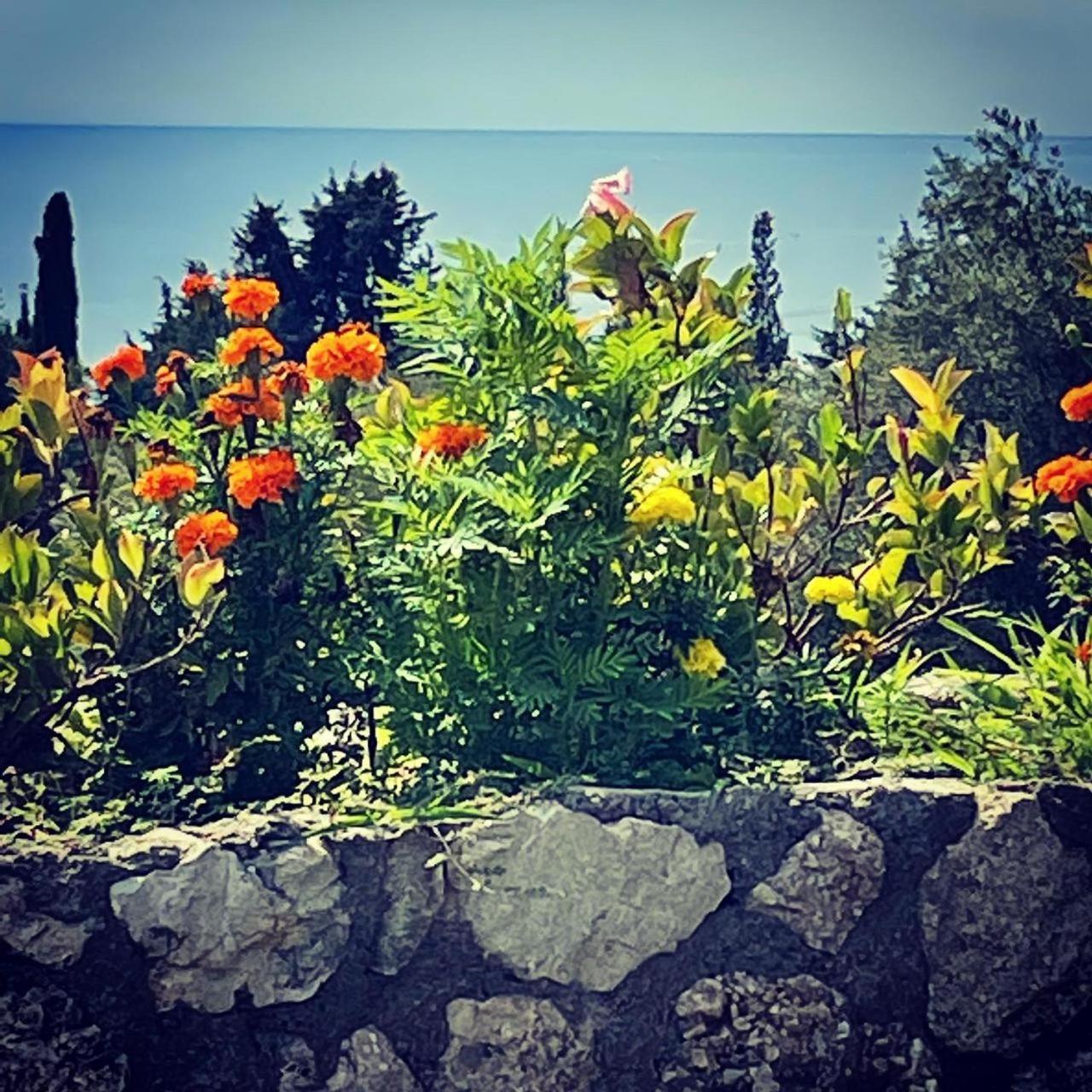 Exclusive Greccia Inn Dhërmi Buitenkant foto